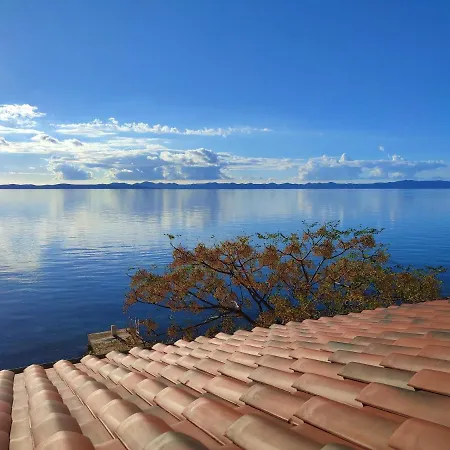 Old Fisherman's House - Sonja Banj