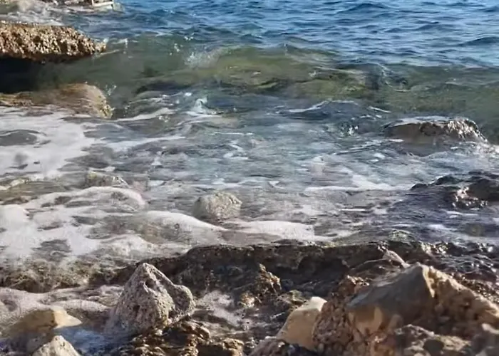 Old Fisherman's House - Sonja